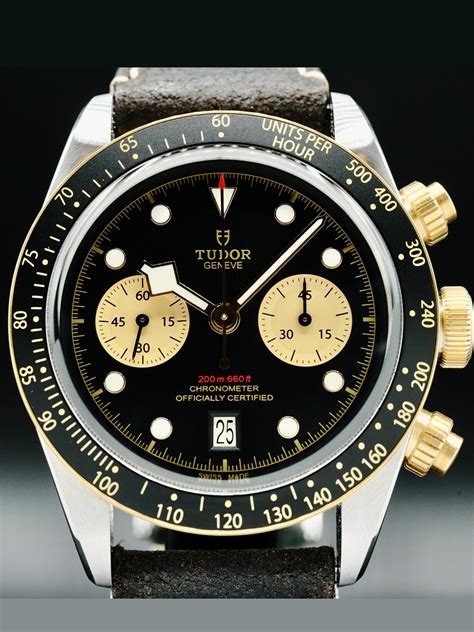 tudor 79363n black bay.